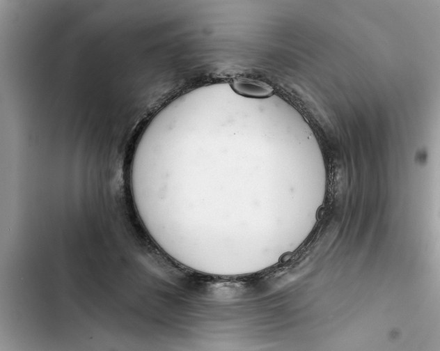 X0000103260508200809191721