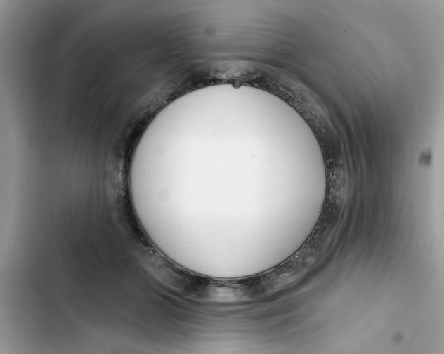 X0000103260510200809191721