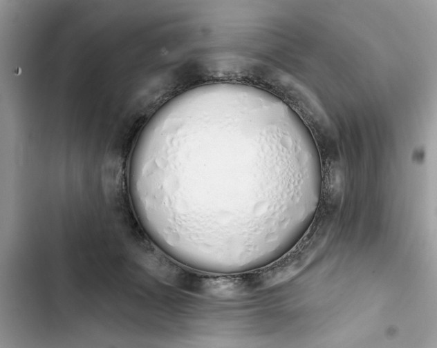 X0000103260511200809191721