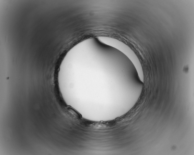 X0000103260512200809191721