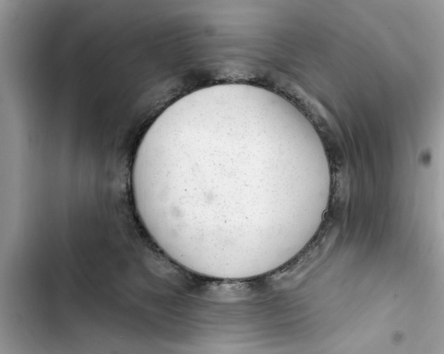 X0000103260517200809191721