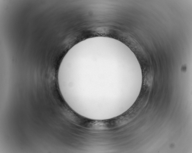 X0000103260518200809191721