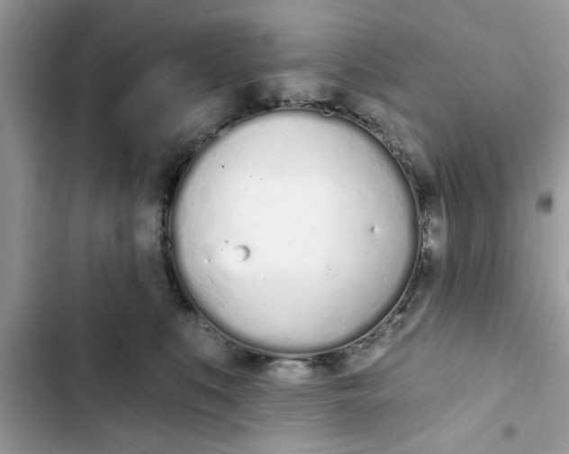 X0000103260519200809191721