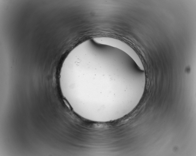 X0000103260520200809191721