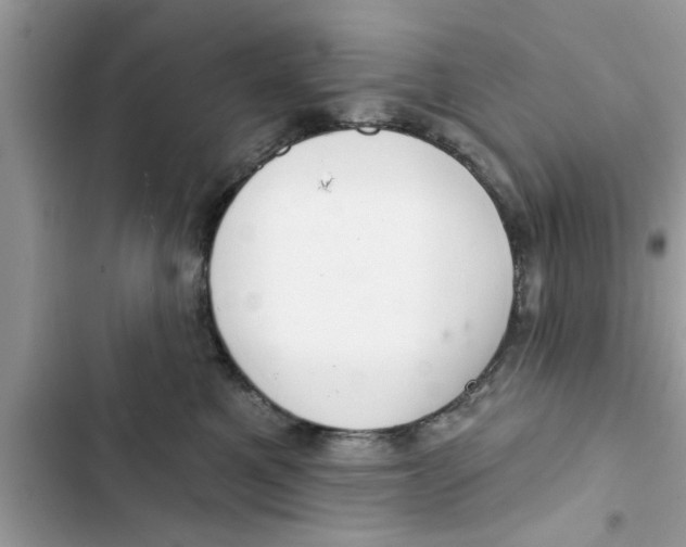 X0000103260521200809191721