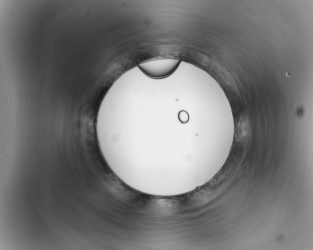 X0000103260522200809191721