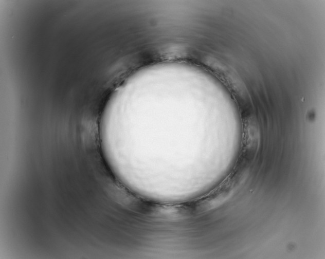 X0000103260523200809191721