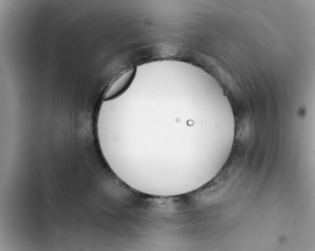 X0000103260524200809191721