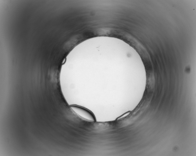 X0000103260525200809191721