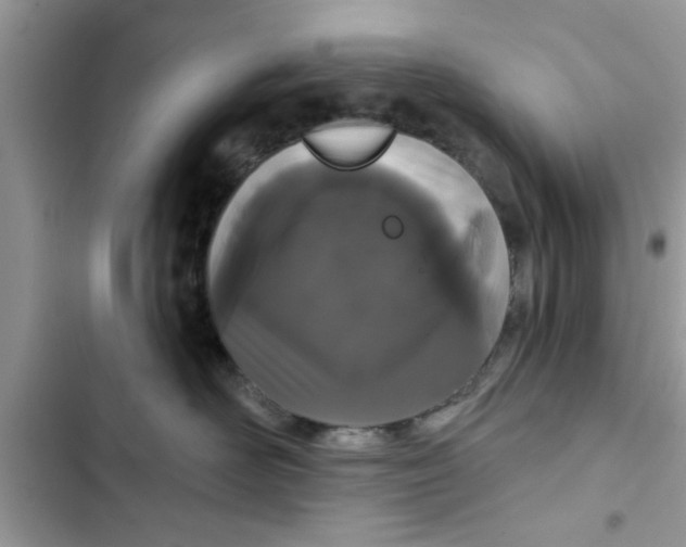 X0000103260526200809191721