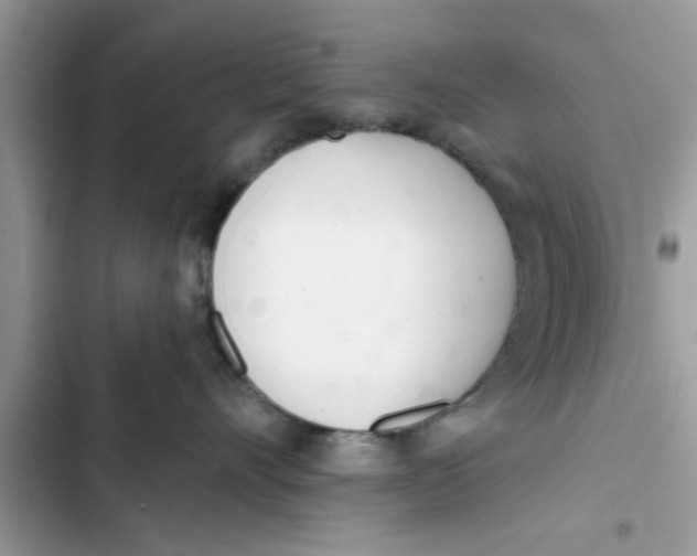 X0000103260528200809191721