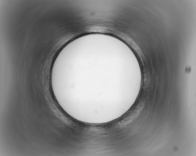 X0000103260529200809191721