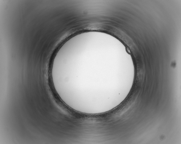 X0000103260530200809191721