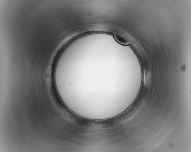 X0000103260531200809191721