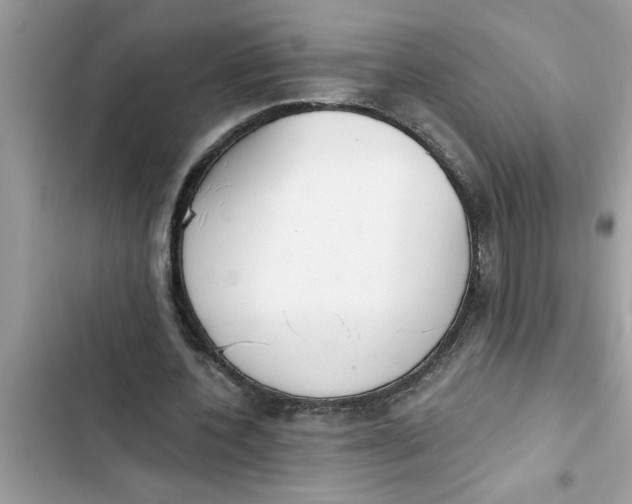 X0000103260532200809191721