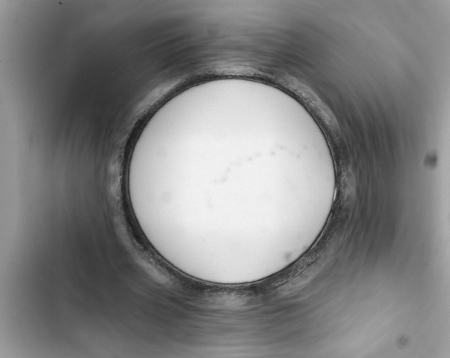 X0000103260533200809191721