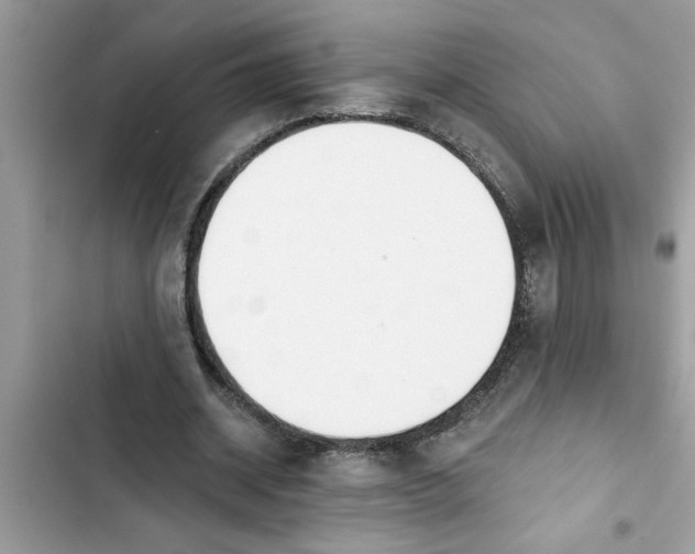 X0000103260534200809191721