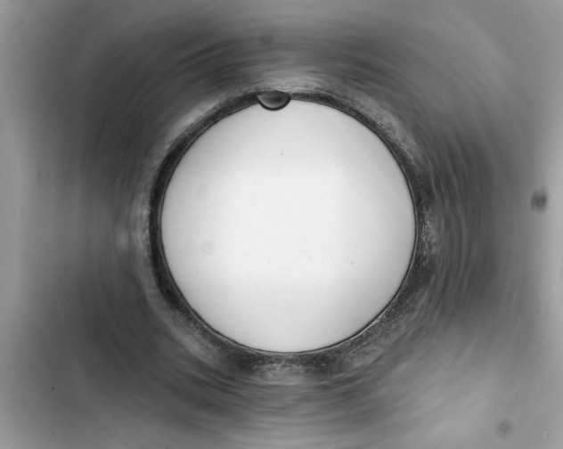 X0000103260535200809191721