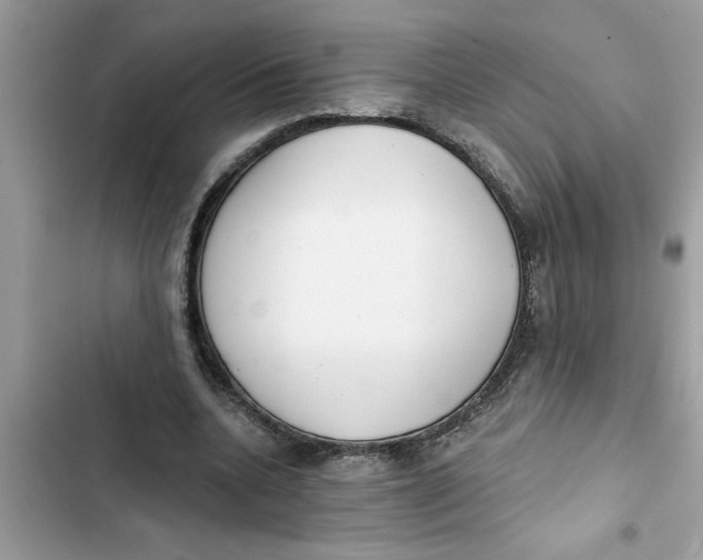 X0000103260536200809191721