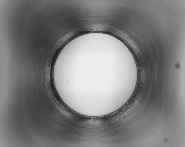 X0000103260537200809191721