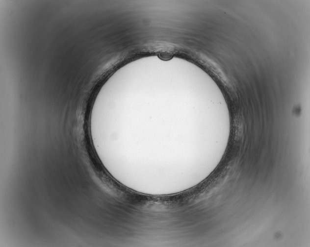 X0000103260538200809191721