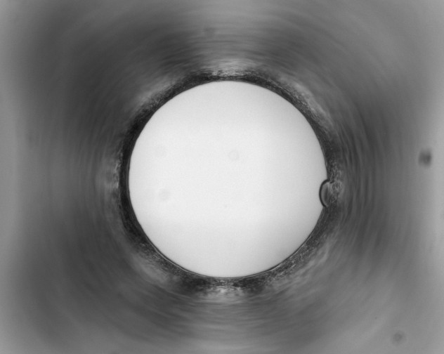 X0000103260543200809191721