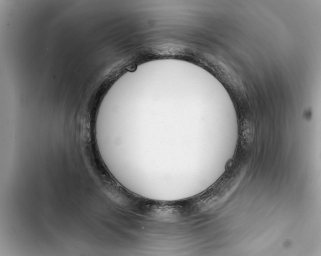 X0000103260547200809191721