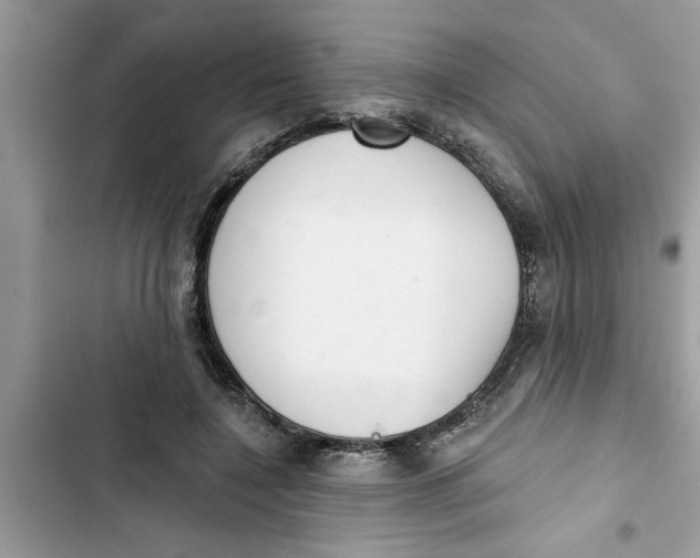 X0000103260548200809191721