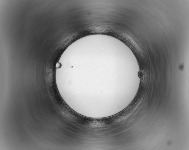 X0000103260549200809191721