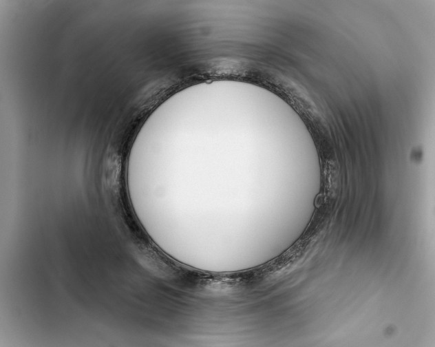 X0000103260550200809191721