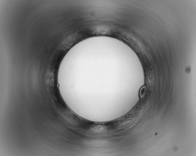 X0000103260551200809191721