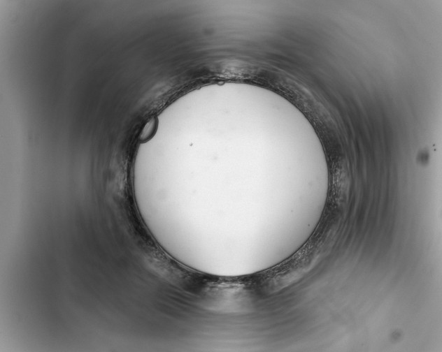 X0000103260554200809191721