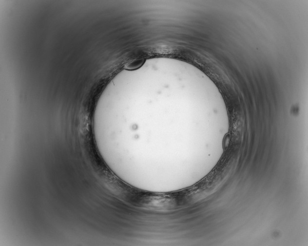 X0000103260555200809191721