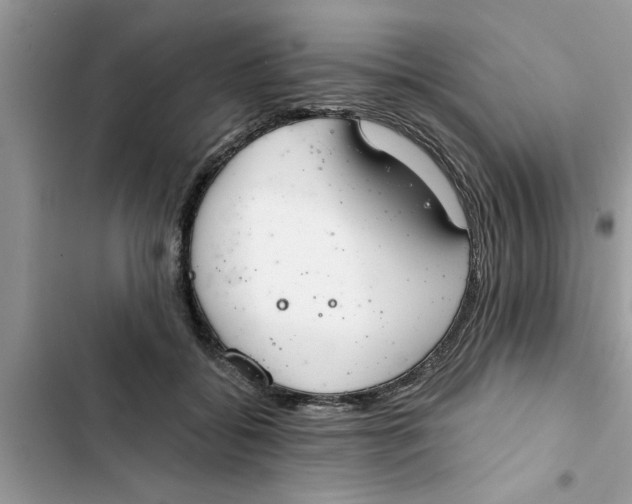 X0000103260556200809191721