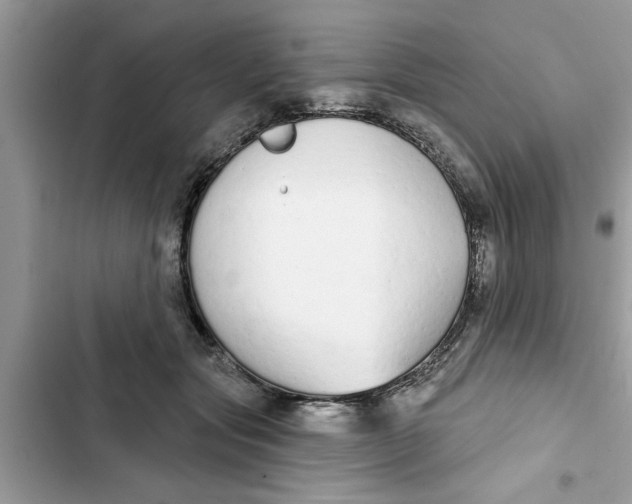 X0000103260557200809191721