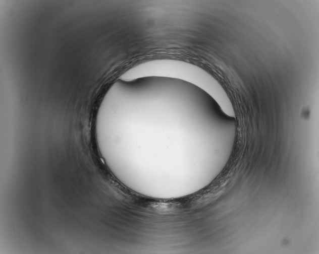 X0000103260558200809191721