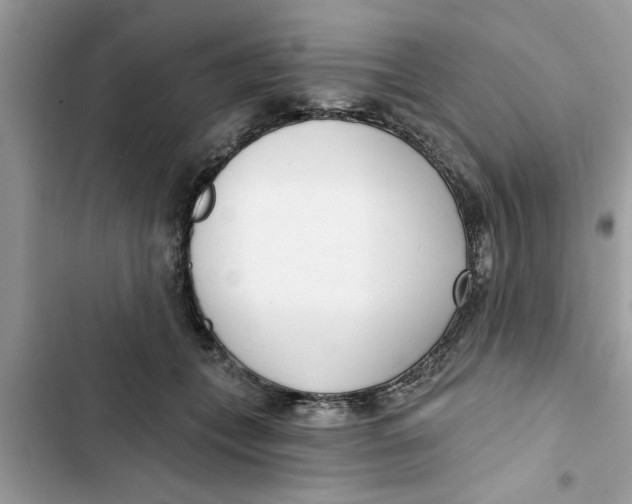 X0000103260559200809191721