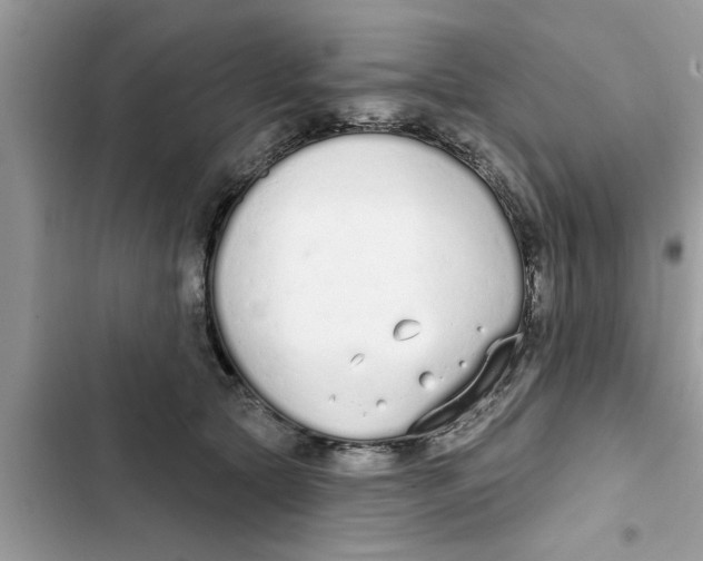 X0000103260561200809191721