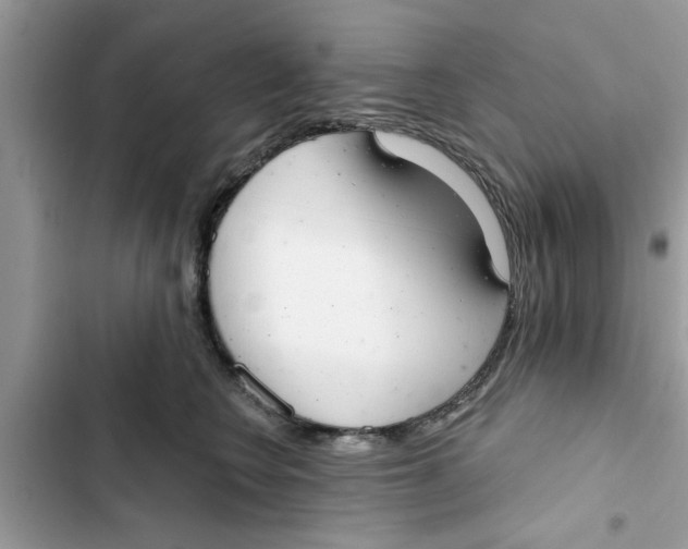 X0000103260566200809191721