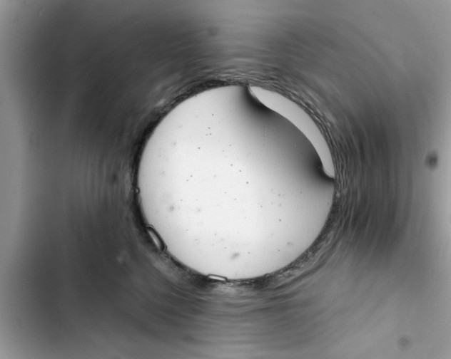 X0000103260568200809191721