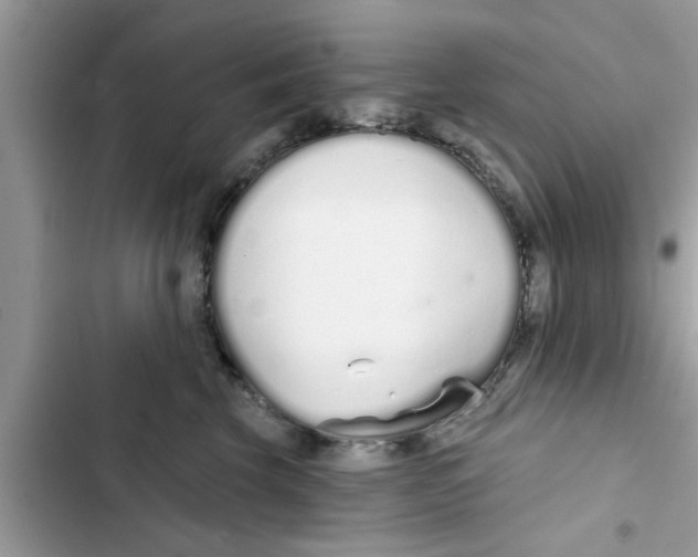 X0000103260569200809191721