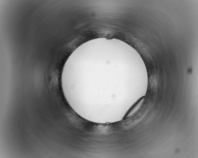 X0000103260570200809191721