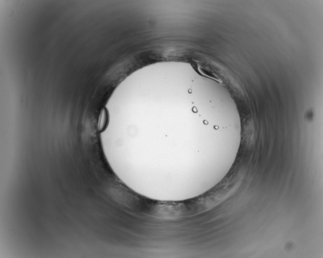 X0000103260571200809191721