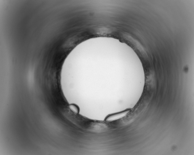 X0000103260572200809191721