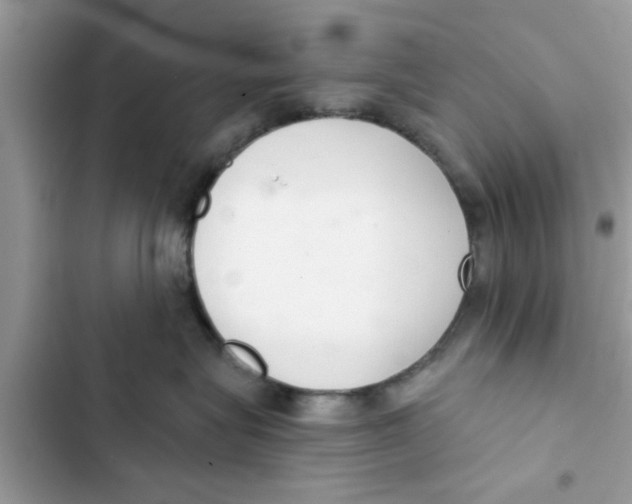 X0000103260575200809191721