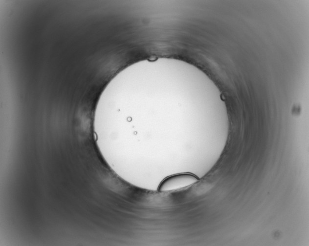 X0000103260576200809191721