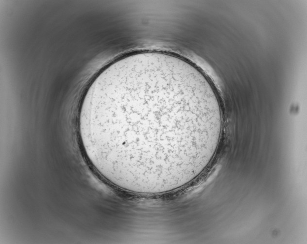 X0000103260577200809191721