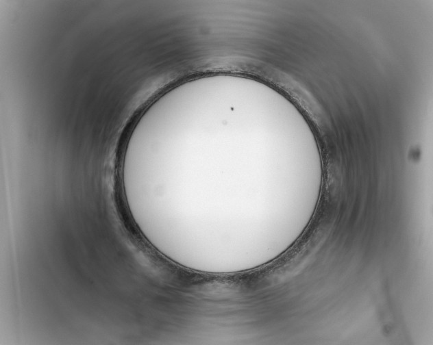 X0000103260578200809191720