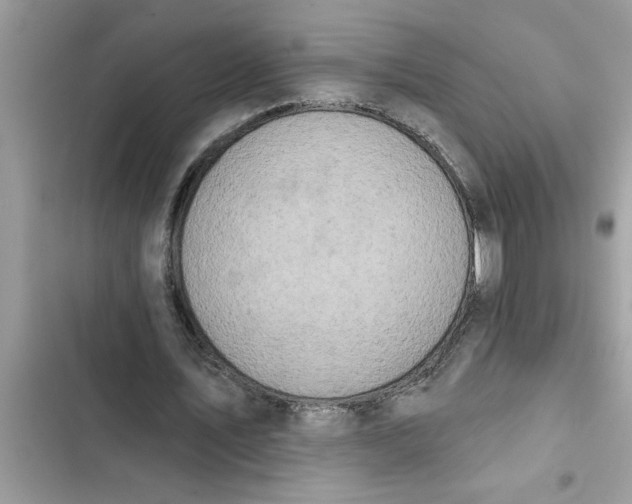 X0000103260579200809191720