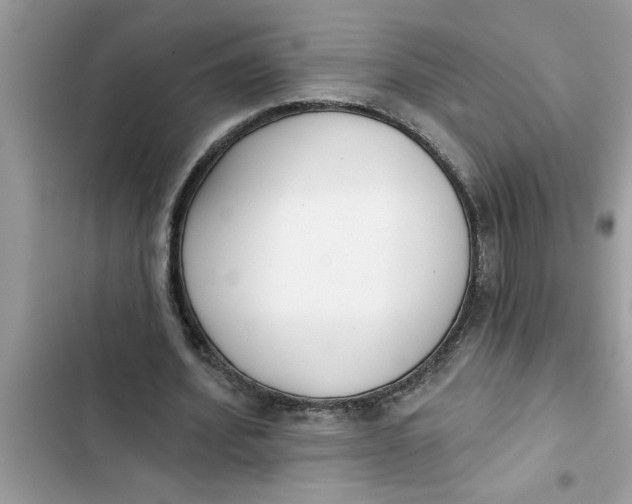 X0000103260580200809191720